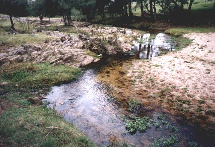 pic 1