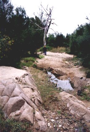 pic 10