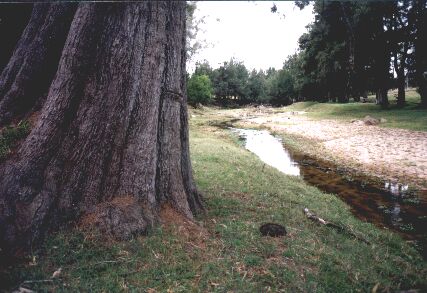 pic 2